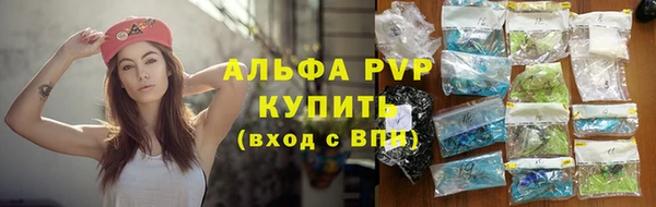 шишки Горно-Алтайск