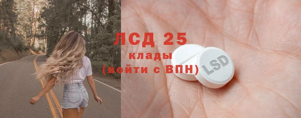 шишки Горно-Алтайск