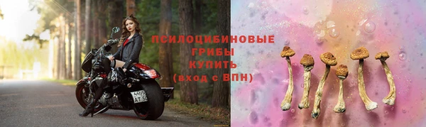 шишки Горно-Алтайск