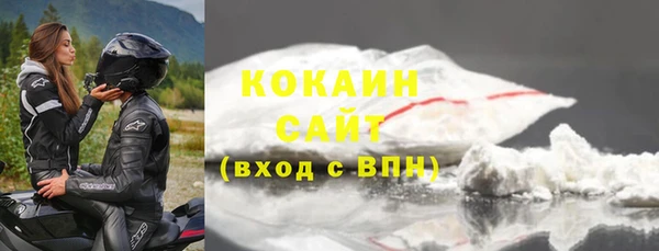 шишки Горно-Алтайск