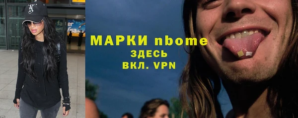 шишки Горно-Алтайск