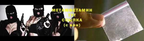 шишки Горно-Алтайск