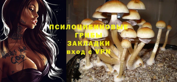 ECSTASY Горнозаводск
