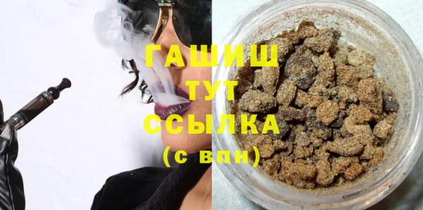 шишки Горно-Алтайск