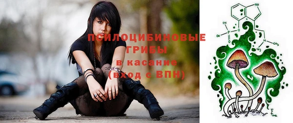 шишки Горно-Алтайск