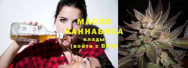 шишки Горно-Алтайск