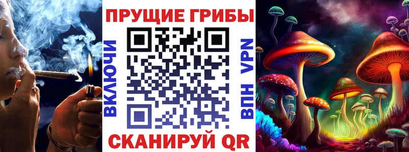 blacksprut ссылка  Сунжа  Псилоцибиновые грибы ЛСД 