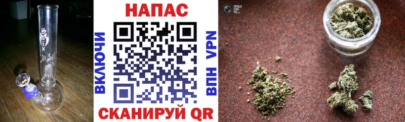 Конопля Bruce Banner  Сунжа 